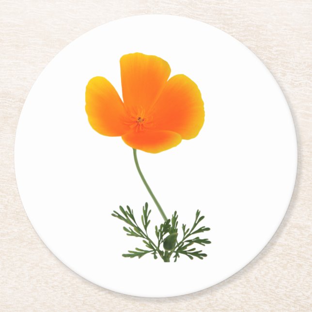 oranger Mohn runder Papieruntersetzer Pappuntersetzer (Vorderseite)