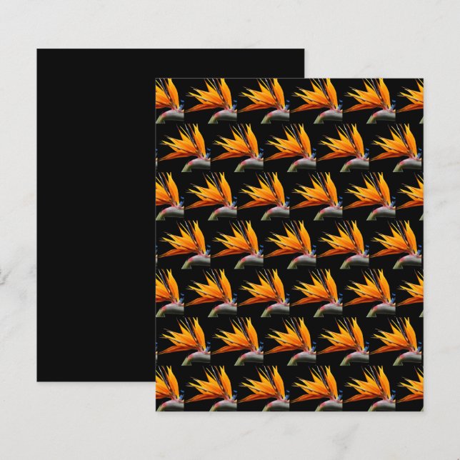 Oranger Paradiesvogel auf schwarzem Scrapbook-Papi (Vorne/Hinten)