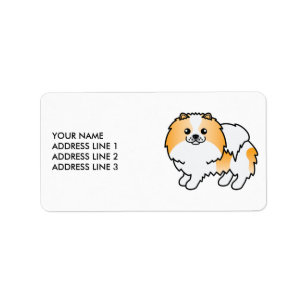 Oranger Parti-Farben Pomeranian Süßer Hund & Text Adressaufkleber
