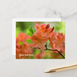 Oranger Rhododendron-Grußkarte Postkarte