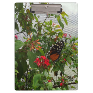 ORANGER SCHMETTERLING KLEMMBRETT