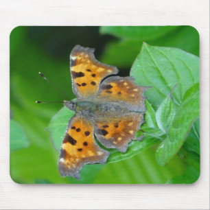 Oranger Schmetterling Mousepad