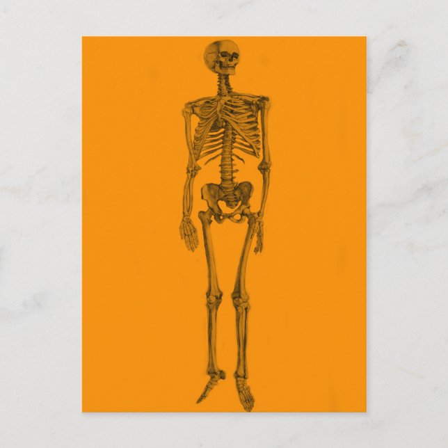 Oranger Skelettschädel Postkarte (Vorderseite)