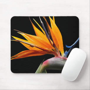 Oranger Vogelparadies-Pflanze auf Schwarz Mousepad