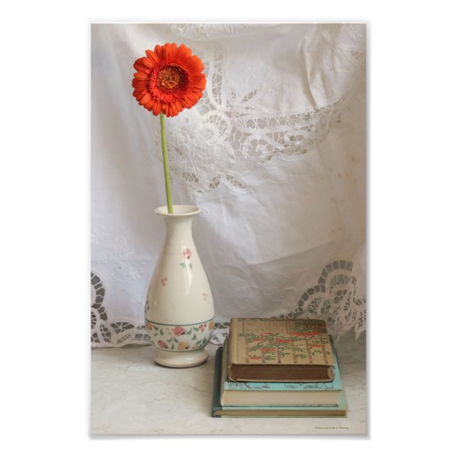 Orangerbera und Bücher Fotodruck (Vorne)