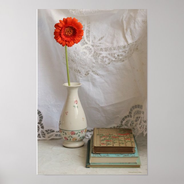 Orangerbera und Bücher Poster (Vorne)