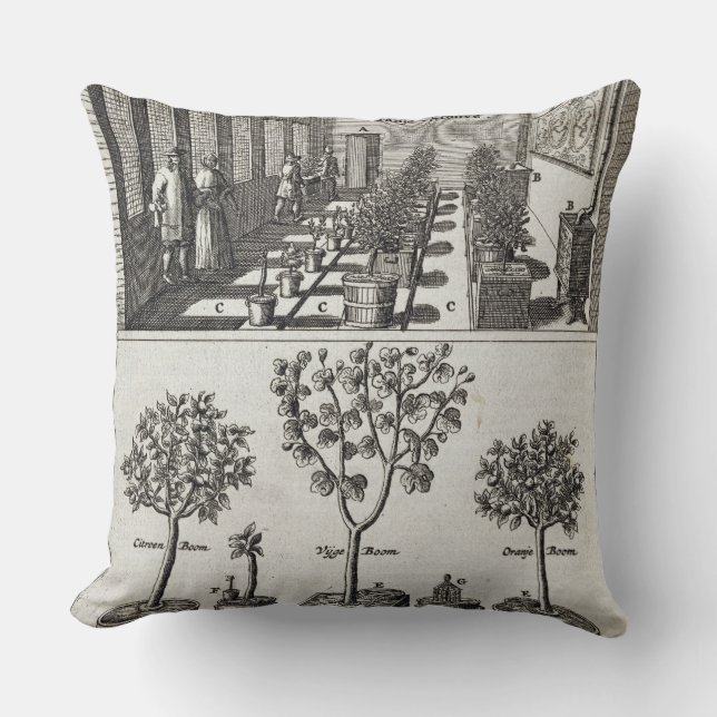 Orangery, von "De Nederlandze Hesperides" bis Kissen (Vorderseite)