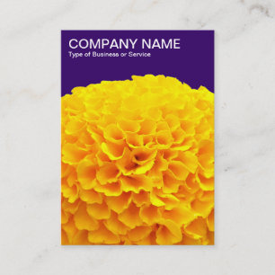 Oranges Chrysantheme - Tiefes Violett Visitenkarte