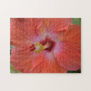 Oranges Hibiskus Rätsel Puzzle