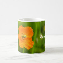 Oranges Klatschmohn-Blumen-Naturfoto mit individue