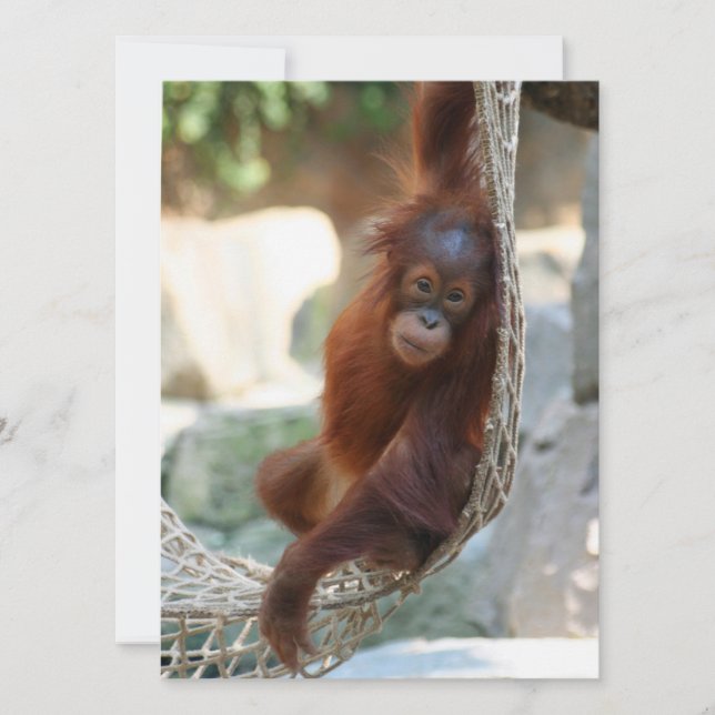 OrangUtan 001 Feiertagskarte (Vorderseite)