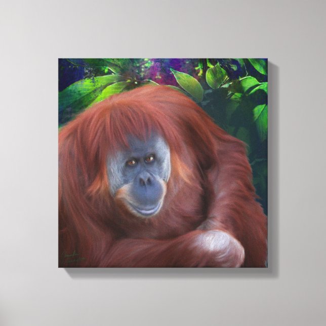 Orangutan 14x14 Strangierte Leinwand (Vorderseite)