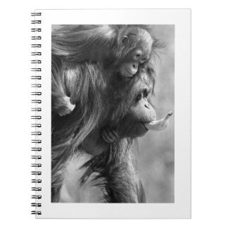 Orangutan#8-Notebook Notizblock