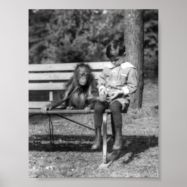 Orangutan and Boy - National Zoo Poster (Vorne)