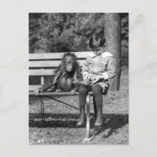 Orangutan and Boy - Nationalzoo Postkarte (Vorderseite)