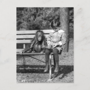 Orangutan and Boy - Nationalzoo Postkarte