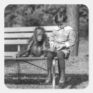 Orangutan and Boy - Nationalzoo Quadratischer Aufkleber