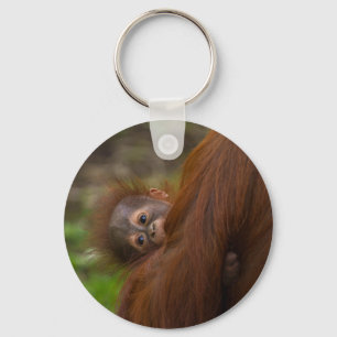 Orangutan Baby mit Flüchtige Blick Schlüsselanhänger
