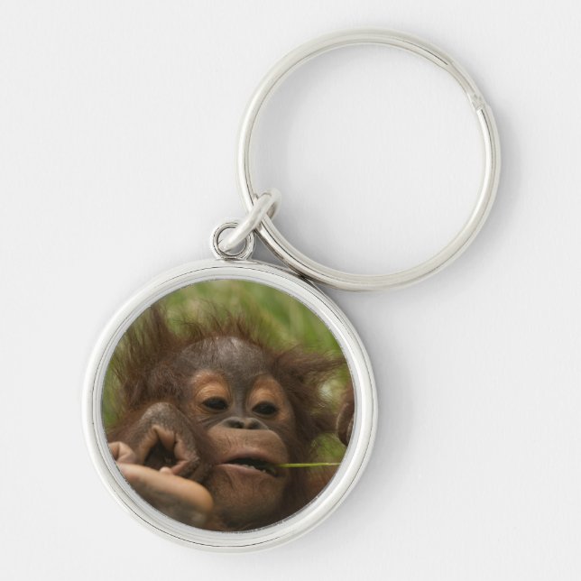 Orangutan Baby Schlüsselanhänger (Vorne)