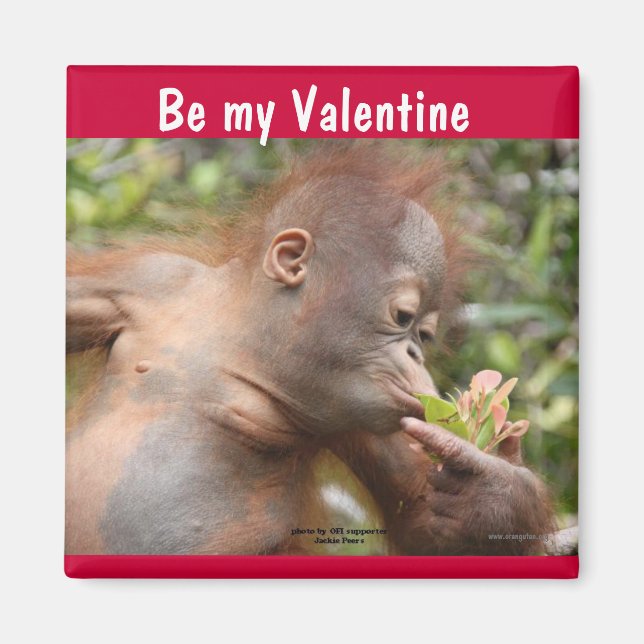 Orangutan Baby Valentinstag Magnet (Vorne)