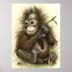 Orangutan Baby With Leaves Poster