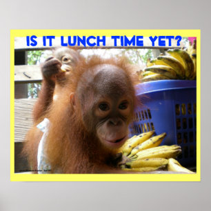 Orangutan Babys Lunch Poster
