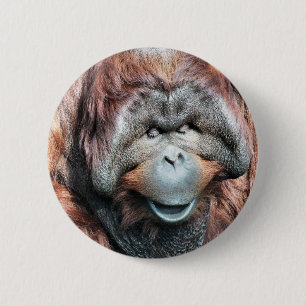 ORANGUTAN BUTTON