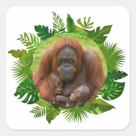 Orangutan Family Bond Quadratischer Aufkleber