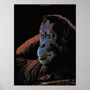 Orangutan Festival Moon and Stars Poster