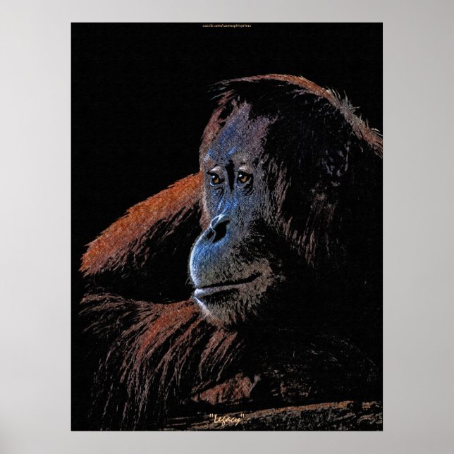 Orangutan Festival Moon and Stars Poster (Vorne)