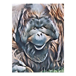 ORANGUTAN FOTODRUCK