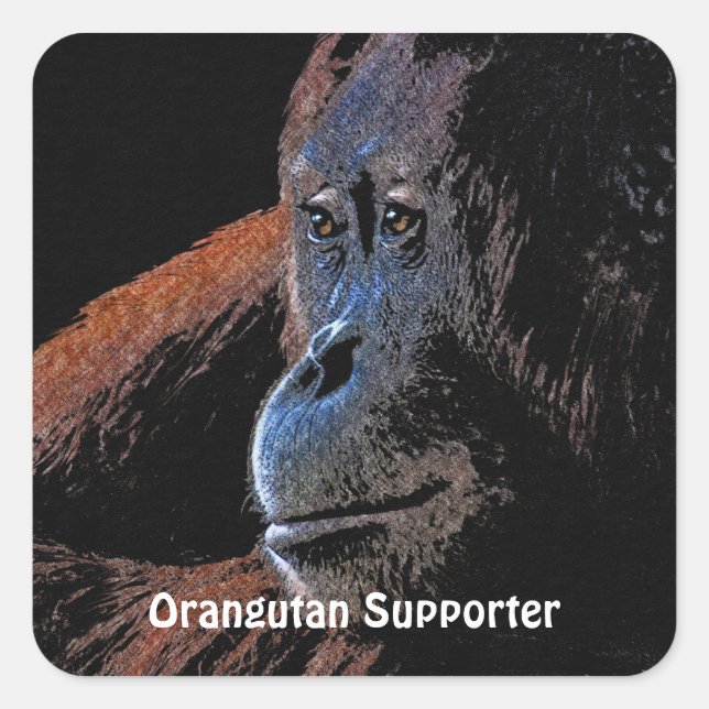 Orangutan Great Ape Primat Stickers (Vorderseite)