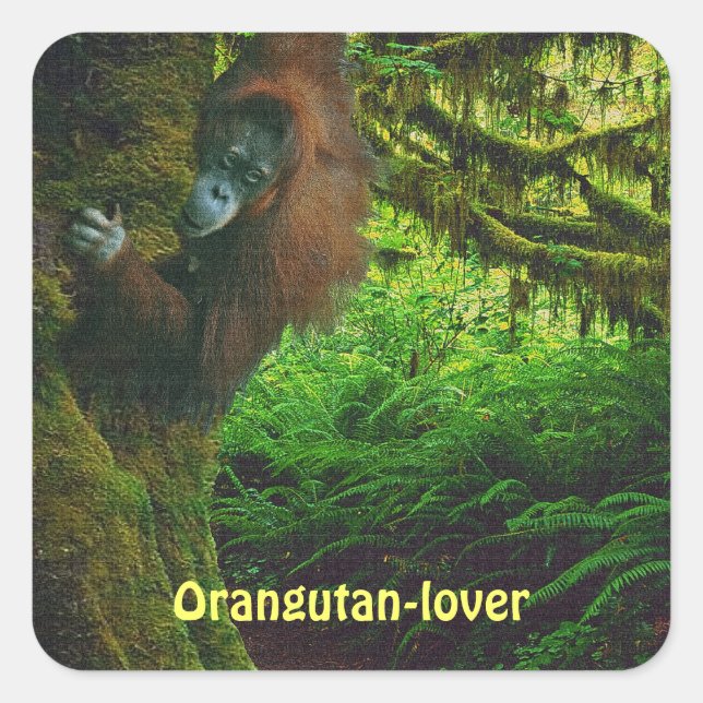 Orangutan Great Ape Primat Stickers (Vorderseite)