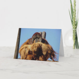 Orangutan Happy Birthday Template Card Karte