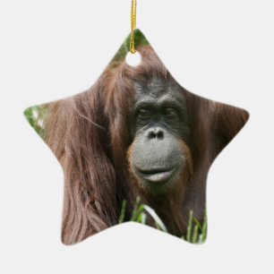 Orangutan Keramikornament