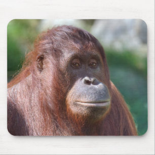 Orangutan Lady Mousepad