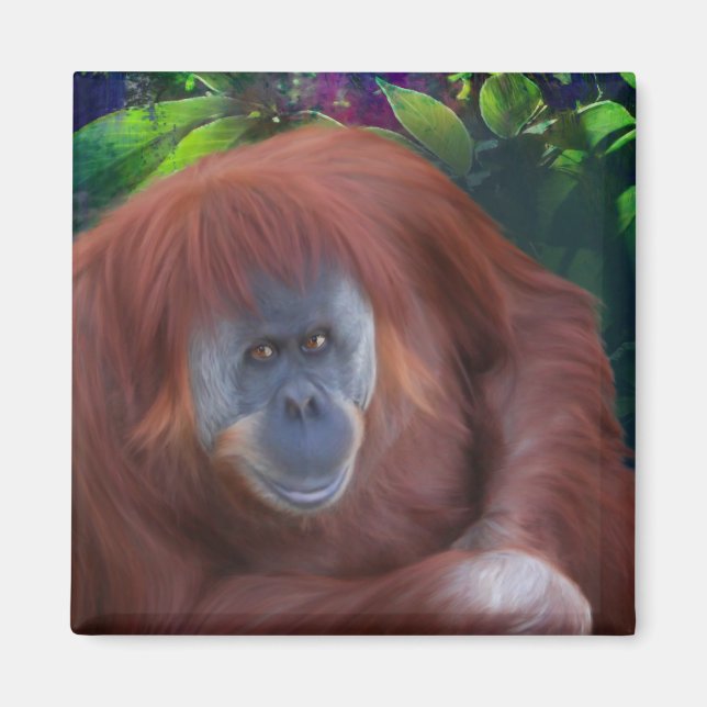 Orangutan Magnet (Vorne)