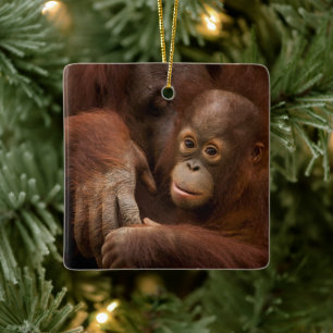 Orangutan Mother and Baby at the Zoo Keramikornament