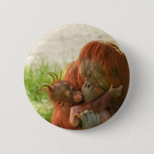 Orangutan Mother Tender Moments Button