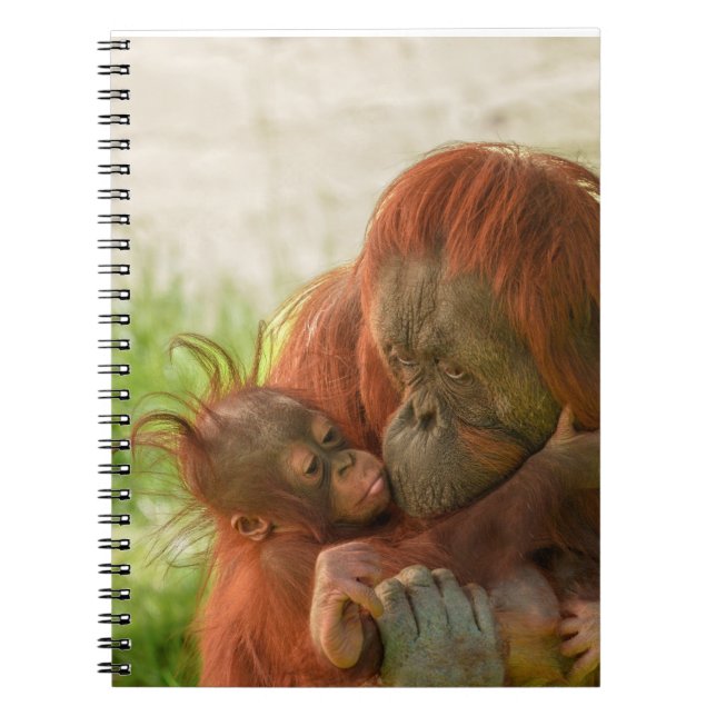 Orangutan Mother Tender Moments Notizblock (Vorderseite)