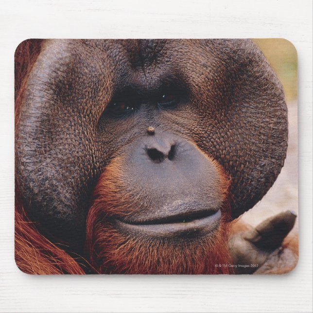 Orangutan Mousepad (Vorne)