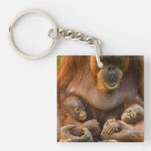 Orangutan Mutter, die zwei Säuglinge hält Schlüsselanhänger