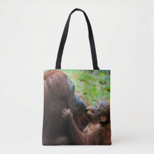 Orangutan Mutter mit Baby