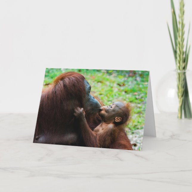 Orangutan Mutter mit Baby Karte (Vorderseite)