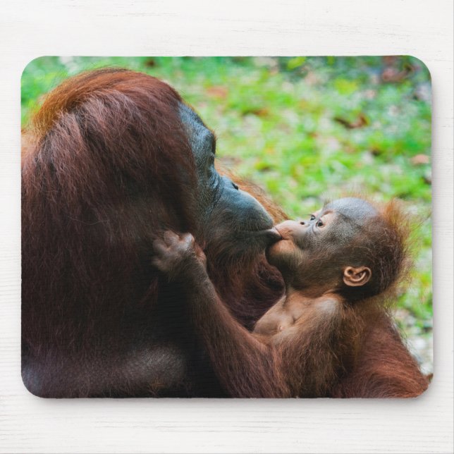 Orangutan Mutter mit Baby Mousepad (Vorne)