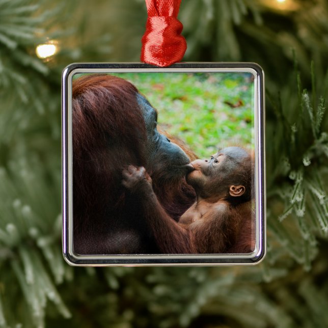 Orangutan Mutter mit Baby Ornament Aus Metall (Baum)