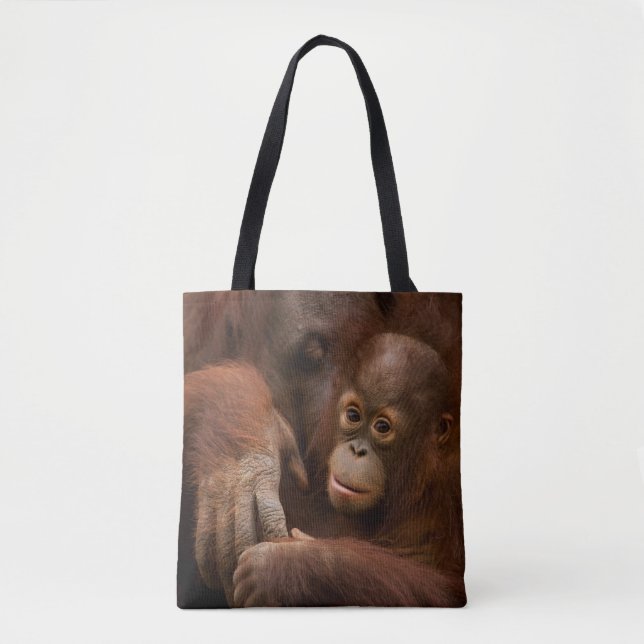 Orangutan Mutter und Baby im Zoo (Vorderseite)