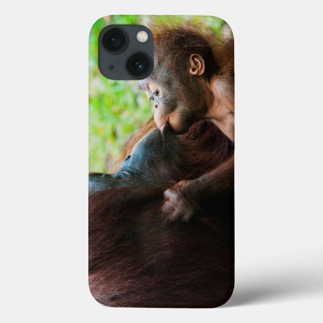 Orangutan Mutter und Kind Case-Mate iPhone Hülle (Rückseite)