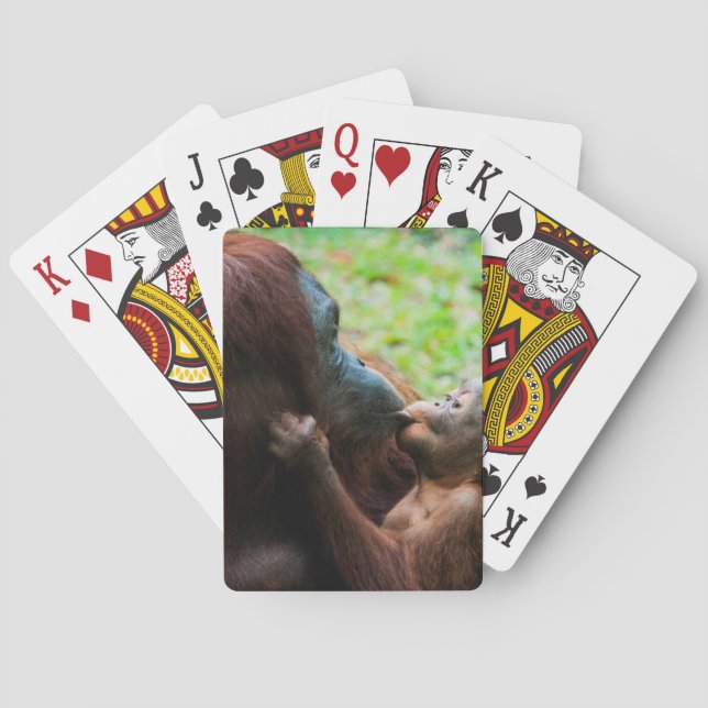 Orangutan Mutter und Kind Spielkarten (Rückseite)