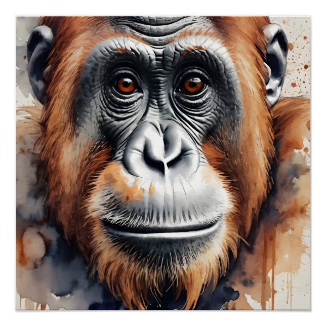 Orangutan no 4 Glossy Poster (Vorderseite)